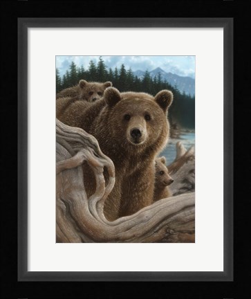 Framed Brown Bears - Backpacking Print
