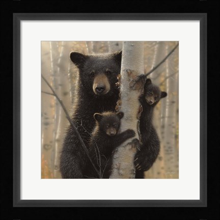 Framed Black Bear Mother and Cubs - Mama Bear Print