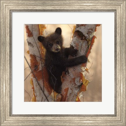 Framed Curious Cub I Print