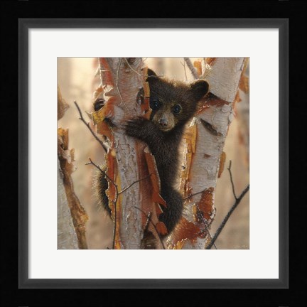 Framed Curious Cub II Print