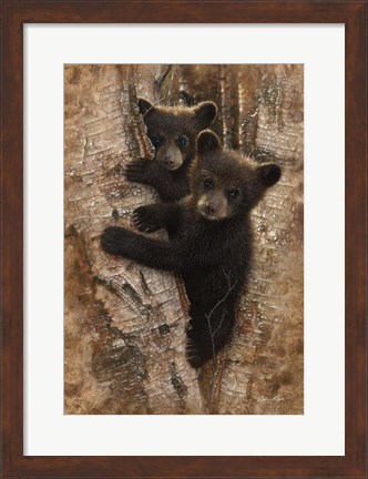 Framed Curious Cubs Print