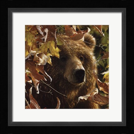 Framed Legend of the Fall Print