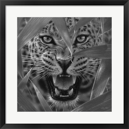 Framed Jaguar - Ambush - B&amp;W Print