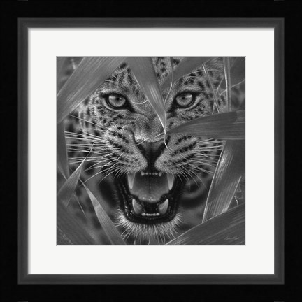 Framed Jaguar - Ambush - B&amp;W Print