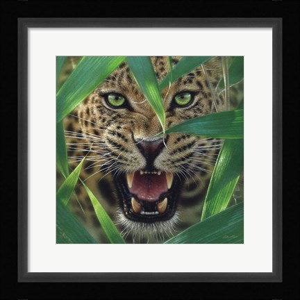 Framed Jaguar - Ambush Print
