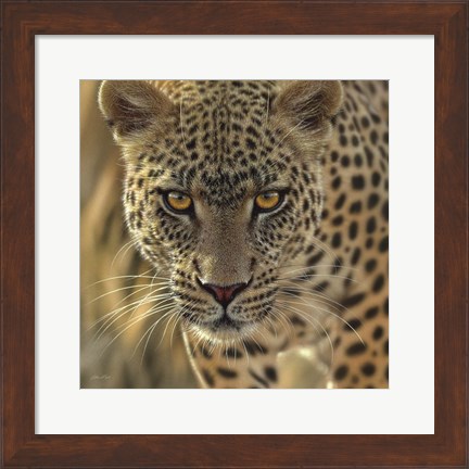Framed Leopard - On the Prowl - Square Print