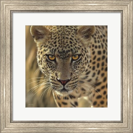 Framed Leopard - On the Prowl - Square Print