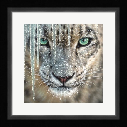 Framed Snow Leopard - Blue Ice Print
