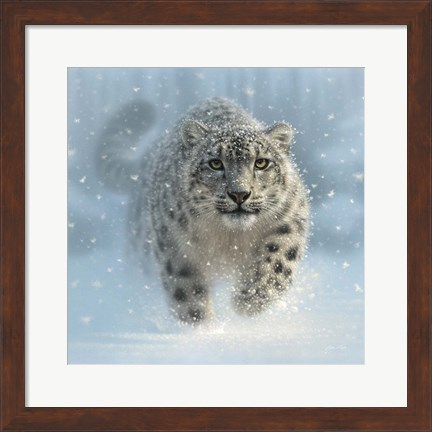 Framed Snow Leopard - Snow Ghost Print