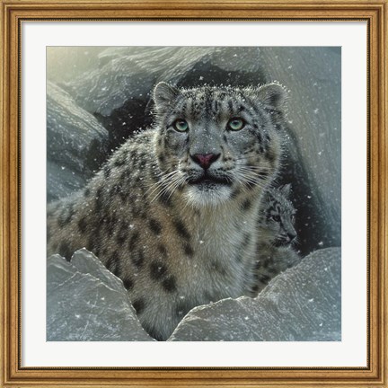 Framed Snow Leopard - The Fortress Print