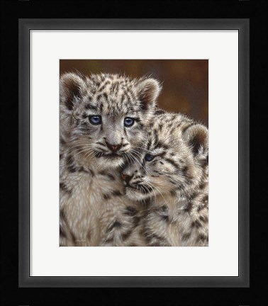 Framed Snow Leopard Cubs - Playmates Print