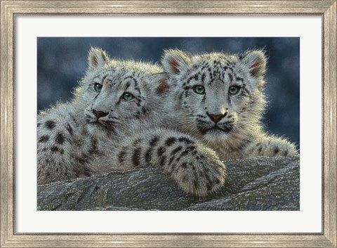 Framed Snow Leopard Cubs Print
