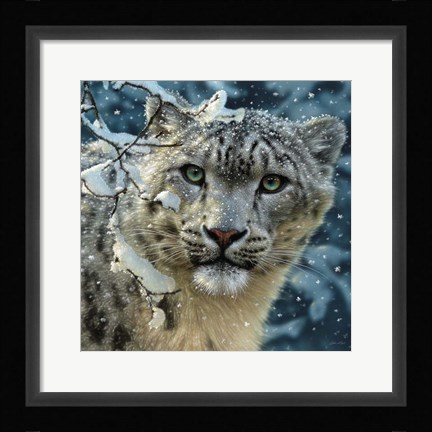 Framed Snow Leopard Print