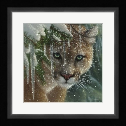 Framed Cougar - Frozen Print