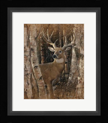 Framed Whitetail Deer - Birchwood Buck Print
