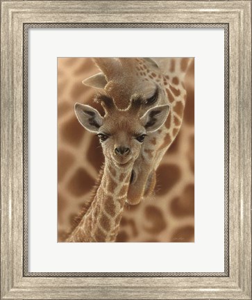 Framed Newborn Giraffe Print