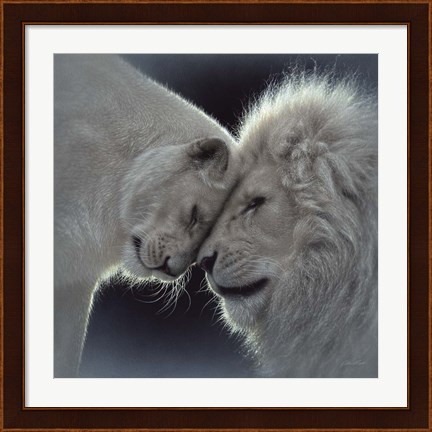 Framed White Lion Love Print