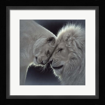 Framed White Lion Love Print