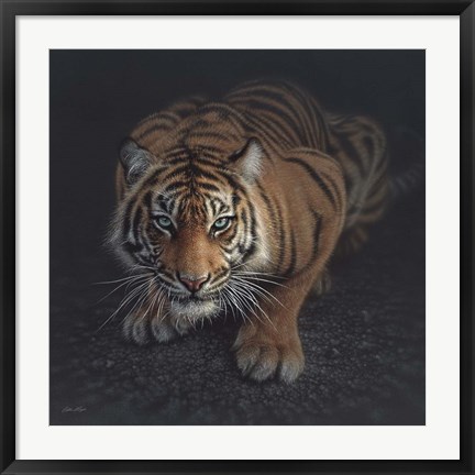 Framed Crouching Tiger Print
