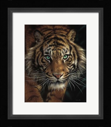 Framed Eye of the Tiger Print