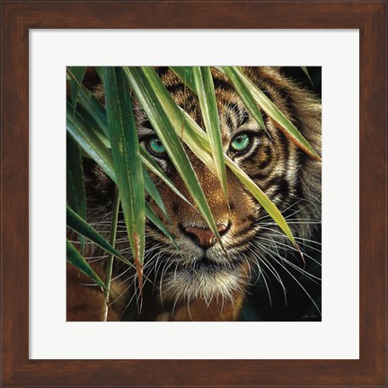Framed Tiger Eyes Print