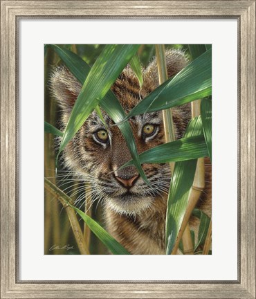 Framed Tiger Cub - Peekaboo Print