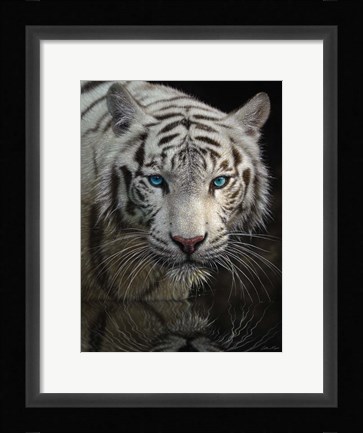 Framed White Tiger - Into the Light Print