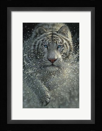 Framed White Tiger - West and Wild Print