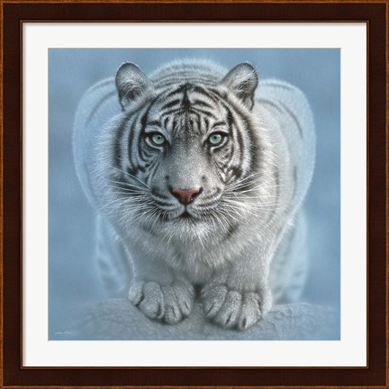Framed White Tiger - Wild Intentions Square Print