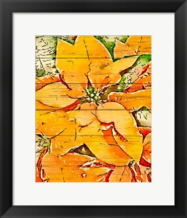 Framed Poinsettia Gold Print