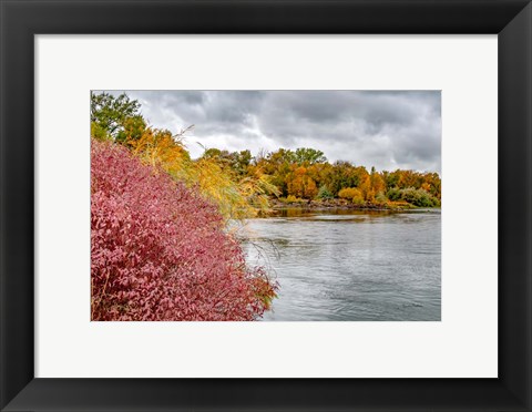 Framed Snake River Autumn IV Print