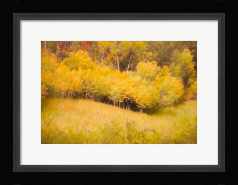 Framed Fall Thicket Print