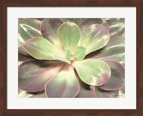 Framed Glowing Succulent I Print