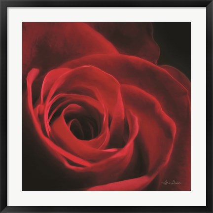 Framed Red Rose I Print