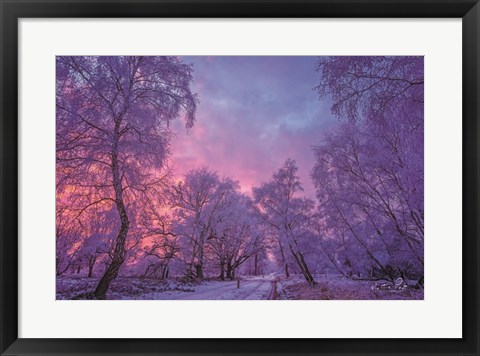 Framed Winter Wonderland Print
