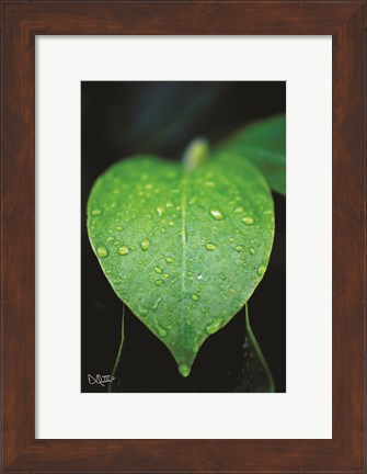 Framed Green Leaf Print
