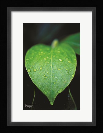 Framed Green Leaf Print