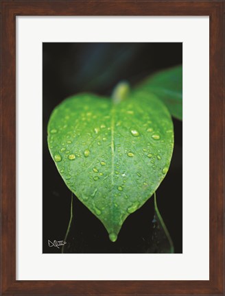 Framed Green Leaf Print