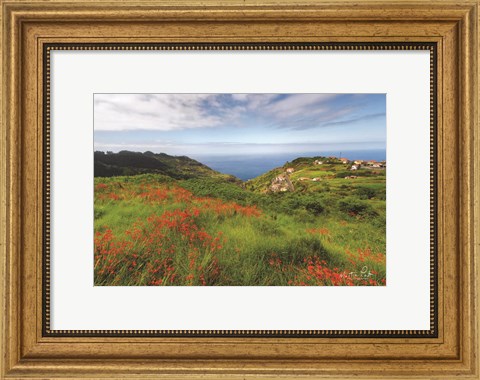 Framed Flowers of Madeira Print