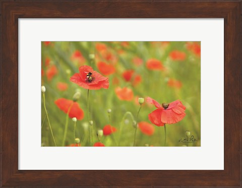 Framed Filed of Poppies Print
