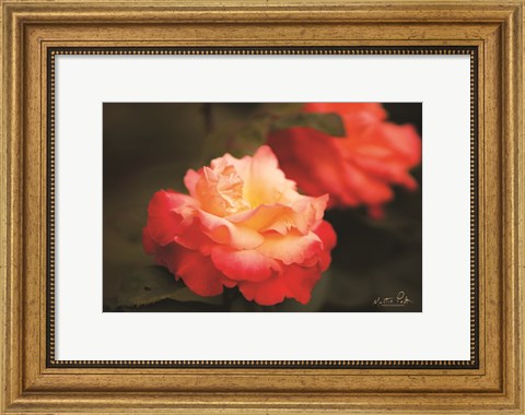 Framed Roses Print