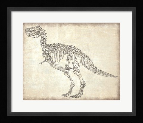 Framed T-Rex Skeleton Print
