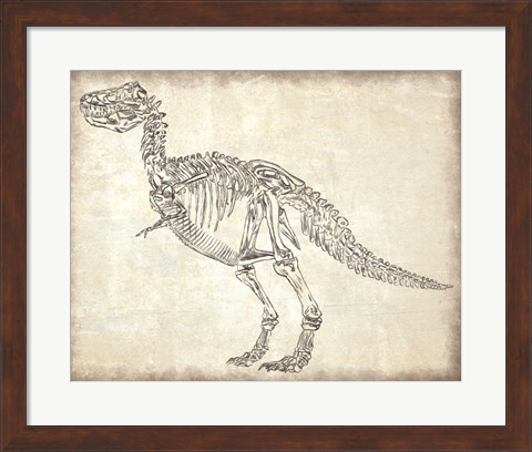 Framed T-Rex Skeleton Print