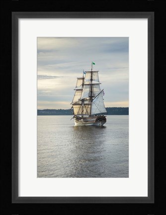 Framed Lady Washington I Print