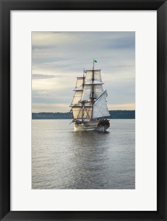 Framed Lady Washington I Print