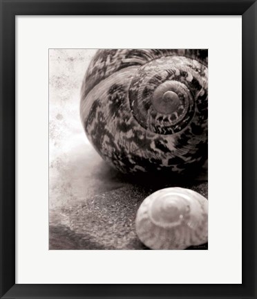 Framed New Discoveries No Border Print