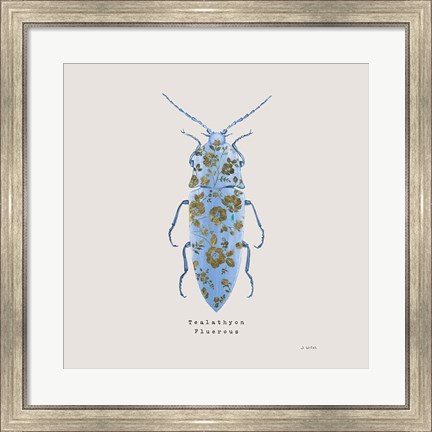 Framed Adorning Coleoptera VIII Sq Blue Print