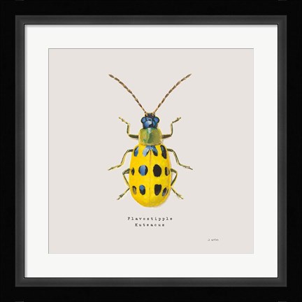 Framed Adorning Coleoptera VII Sq Golden Print