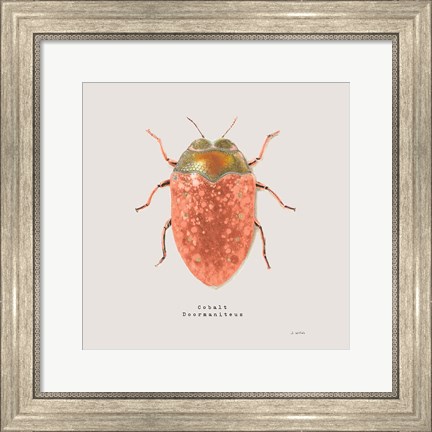 Framed Adorning Coleoptera V Sq Camelia Print