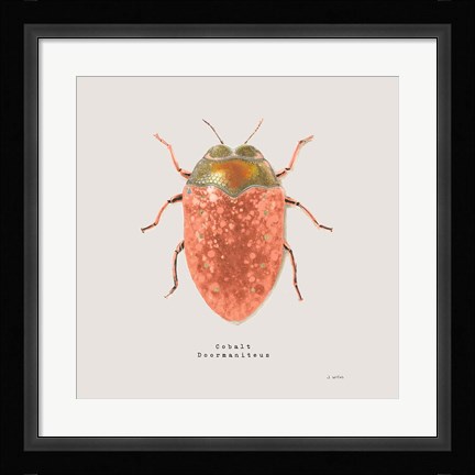 Framed Adorning Coleoptera V Sq Camelia Print